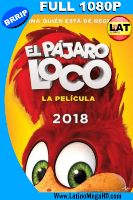 El Pájaro Loco: La Película (2017) Latino FULL HD 1080P - 2017